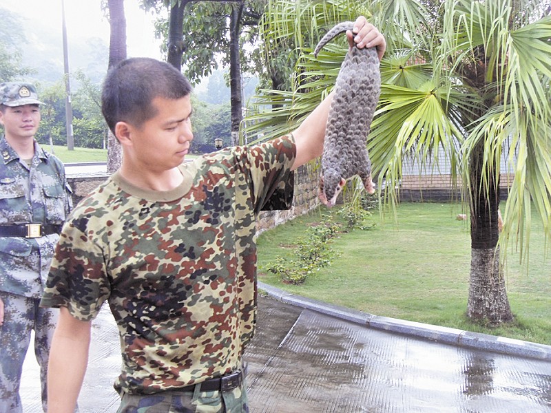 安檢機(jī)廠家為野生動物保護(hù)立下汗馬功勞